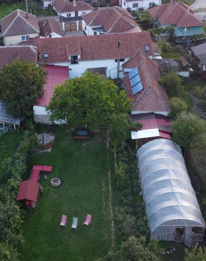 Casa Badea Hotell Riu Alb Exteriör bild